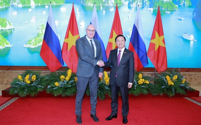 El viceprimer ministro vietnamita, Tran Hong Ha (derecha), se reúne con su homólogo ruso, Dmitry Nikolayevich Chernyshenko (Foto: VNA)