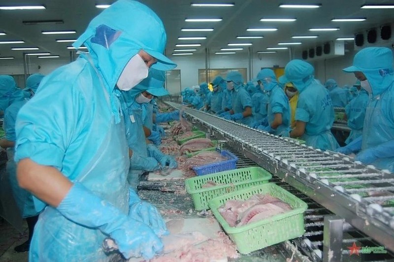 Vietnam se posiciona como el quinto mayor proveedor de productos del mar a Singapur