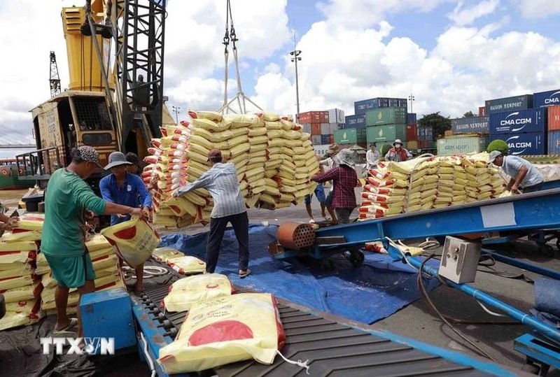 Desde el 1 hasta el 15 de enero, Vietnam exportó más de 268 mil 700 toneladas de arroz (Fuente: VNA)