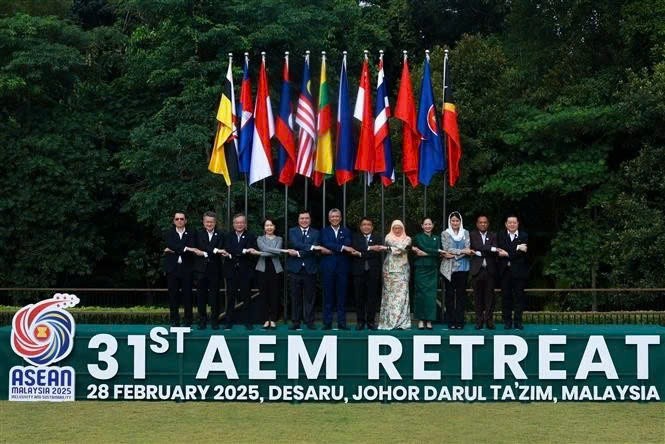 Delegados en la 31 Reunión restringida de Ministros de Economía de la Asean se toman foto de recuerdo. (Fuente: VNA) 