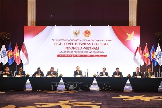 El secretario general del Partido Comunista de Vietnam (PCV), To Lam, y los delegados asisten al Diálogo de Negocios Vietnam-Indonesia. (Fuente: VNA)