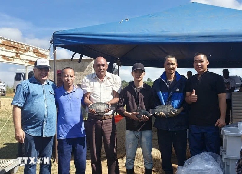 El ministro cubano de la Industria Alimentaria, Alberto López Díaz (tercero desde la izquierda), y expertos vietnamitas celebran la exitosa cooperación. (Foto: VNA)