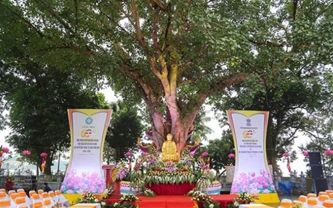 Conmemoran 60 aniversario del obsequio de árbol Bodhi de presidente indio a Vietnam