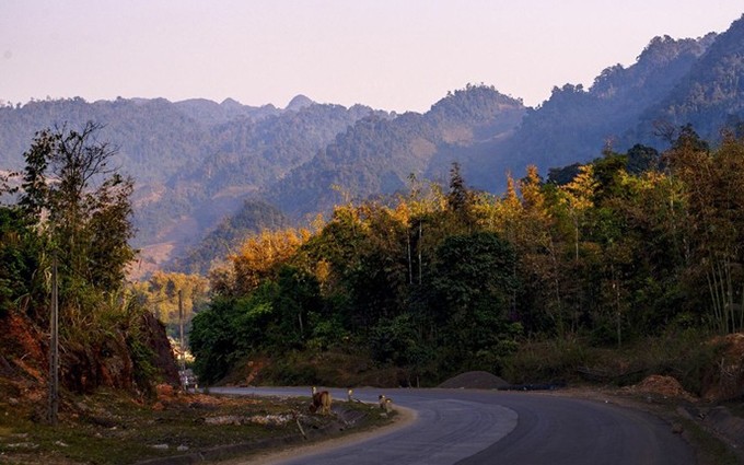 Moc Chau, un destino atractivo de la zona montañosa de la provincia norteña de Sơn La. (Fotografía: VOV)