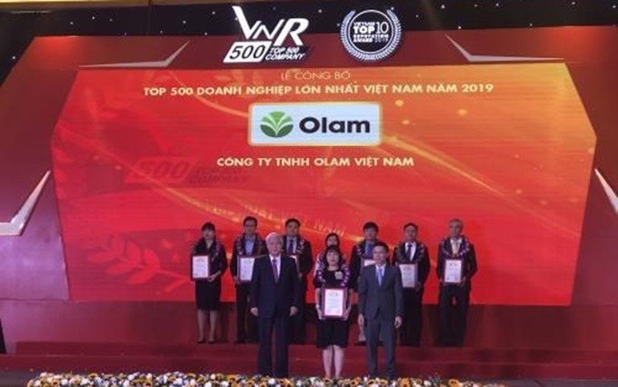 En la ceremonia de las 500 mayores empresas en Vietnam en 2019. (Fotografía: VNA)