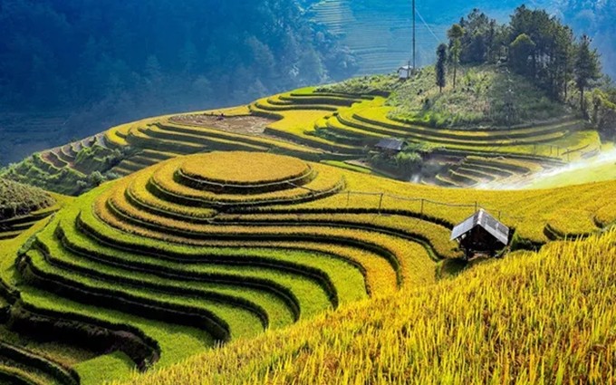 Terrazas de arroz de Mu Cang Chai. (Fotografía: baoyenbai.com.vn)