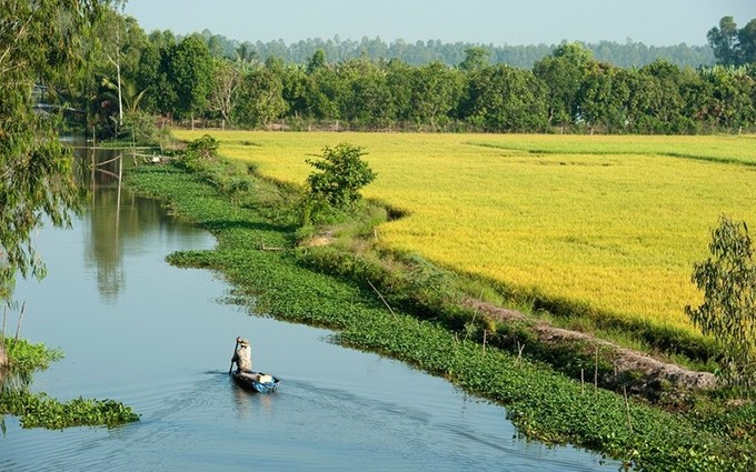 El Delta del río Mekong. (Fotografía: culturetrip)