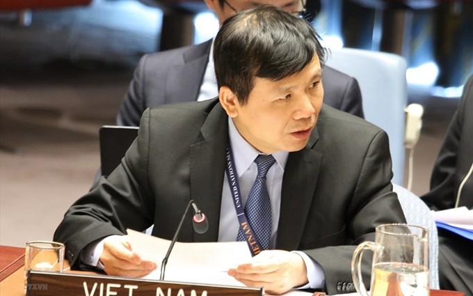 El embajador Dang Dinh Quy, jefe de la misión vietnamita ante la ONU. (Fotografía: VNA)