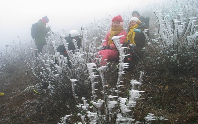 Nieva en localidad norteña vietnamita por frío intenso