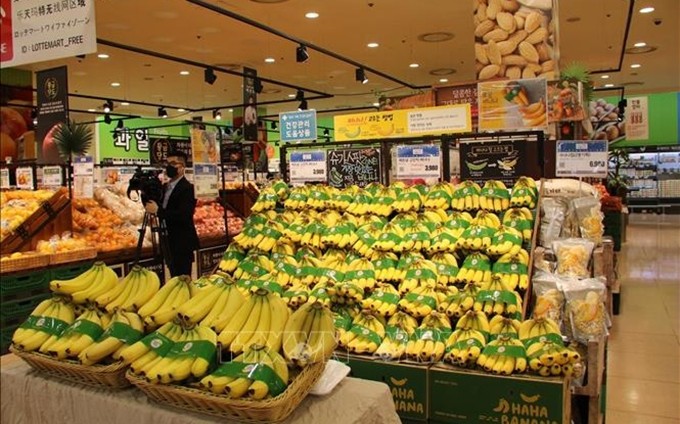 Plátano de Vietnam está presente en la cadena de supermercados de Lotte, en Corea del Sur. (Fotografía)