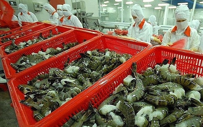 Vietnam aumenta exportación de camarones en primer semestre de 2020