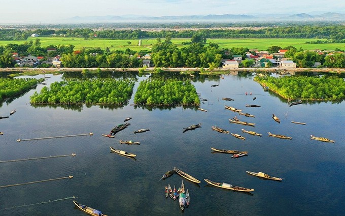 El bosque de manglares de Ru Cha, ubicado en el sistema lacustre de Tam Giang-Cau Hai. (Fotografía: vnexpress.net)