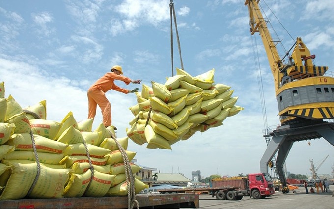 Vietnam lidera el mundo en precios de exportación de arroz 