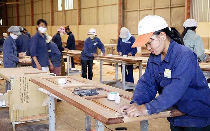 Procesamiento de madera, un sector económico atractivo de inversión en Gia Lai.