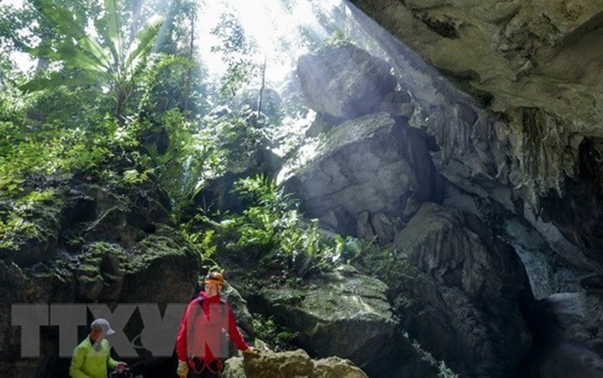 La entrada de la gruta Son Doong (Fuente: VNA)