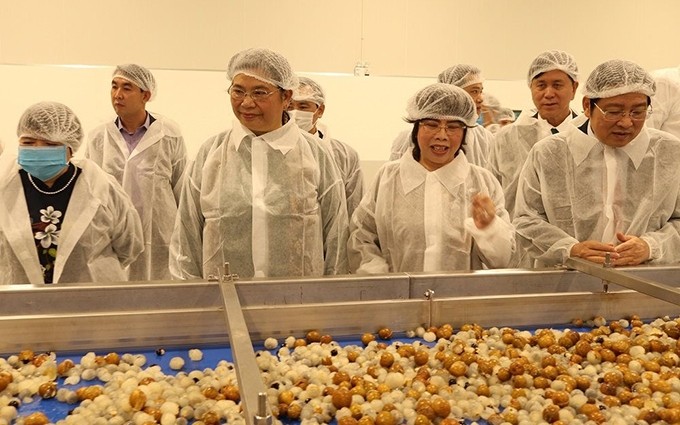 Los delegados visitan la planta. (Fotografía: baotainguyenmoitruong.vn)