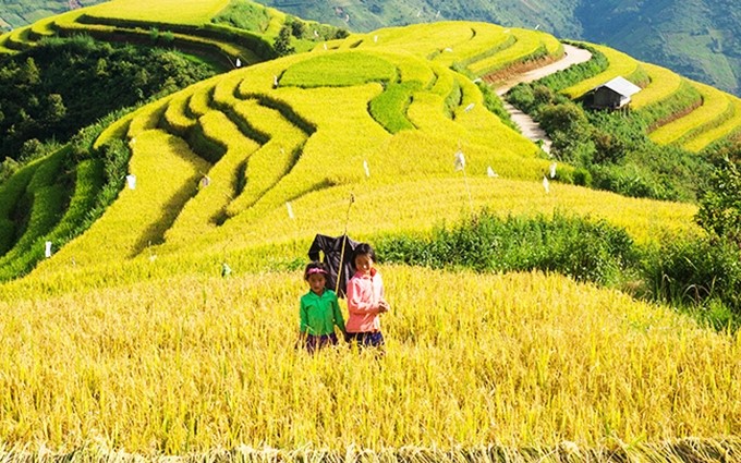 Niños en las terrazas de arroz.