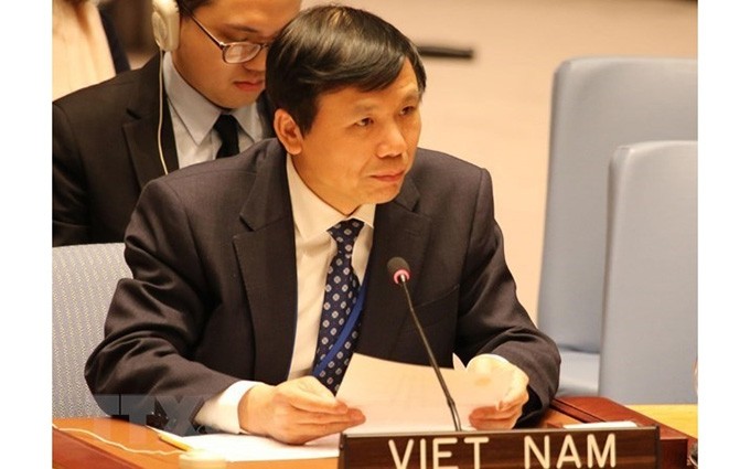 El embajador Dang Dinh Quy, representante permanente de Vietnam ante ONU. (Fotografía: VNA)