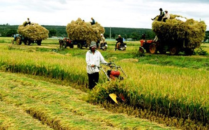 Los 13 productos agrícolas principales de Vietnam