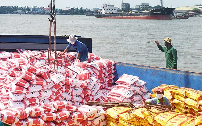 La exportación de arroza de Vietnam alcanza varios logros.