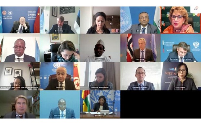 La reunión virtual del Consejo de Seguridad sobre los disturbios en torno a las elecciones en la República Centroafricana. (Fotografía: VNA)