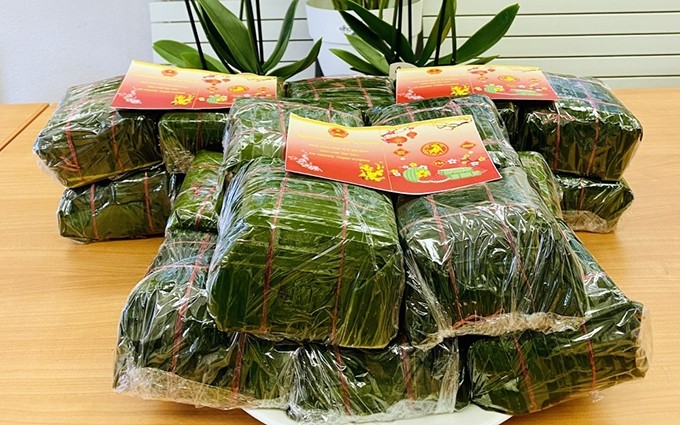 Embajada de Vietnam en Suiza prepara banh chung para regalar a los expatriados en ocasión del Tet. (Fotografía: baoquocte.vn)