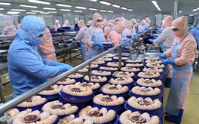 Una fábrica de procesamiento de camarones en la provincia de Hau Giang (Fotografía: VNA)