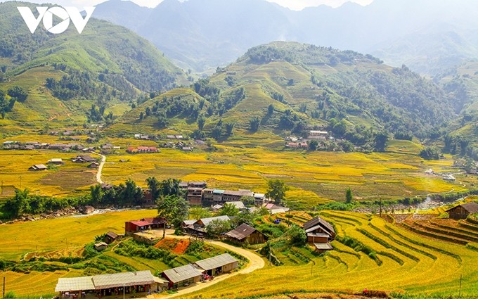 El valle de Muong Hoa, provincia de Lao Cai. (Fotografía: VOV)