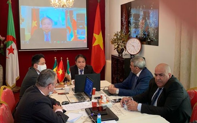 La conferencia en línea sobre el fortalecimiento de la cooperación comercial y de inversión entre Vietnam, Argelia y Senegal. (Fotografía: VNA)