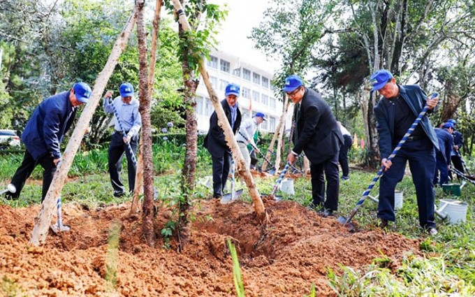 Los dirigentes de Lam Dong plantan árboles. (Fotografía: nhandan.com.vn)