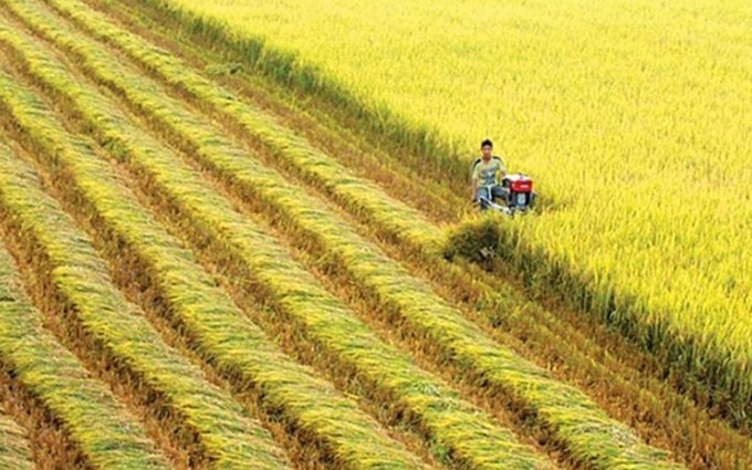 Vietnam y Suiza por impulsar la cooperación en el desarrollo agrícola
