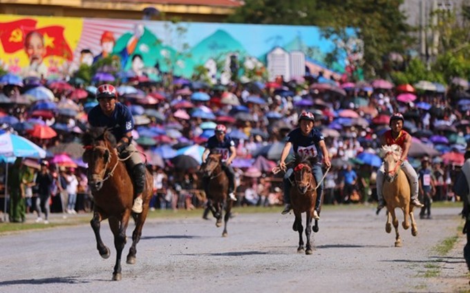 Carrera de caballos Bac Ha nombrada Patrimonio cultural intangible de Vietnam  