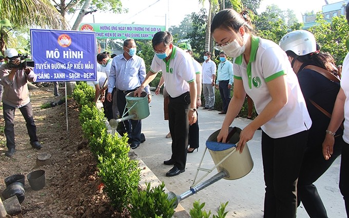 Plantan árboles en Hau Giang para responder al Dia Mundial del Medio Ambiente. 