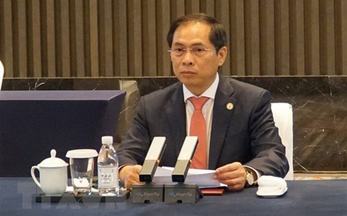 El ministro de Relaciones Exteriores Bui Thanh Son. (Fotografía: VNA)