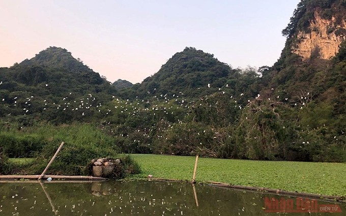 La zona de ecoturismo del parque de aves de Thung Nham, en la provincia norvietnamita de Ninh Binh.