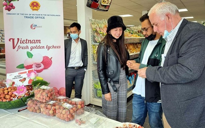 Lichi fresco de Vietnam ya está presente en los supermercados en los Países Bajos, Francia y Alemania.