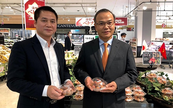 El embajador vietnamita Vu Hong Nam (D) y el consejero comercial vietnamita en Japón, Ta Duc Minh en un evento para promover el lichi vietnamita en el país del Sol Naciente.