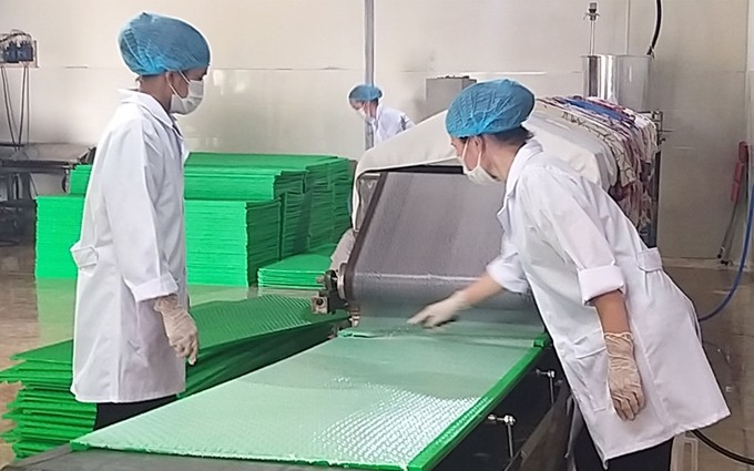 Producción de papel de arroz en la cooperativa de Xuan Tien.