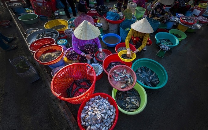  Descubrir la belleza de la zona rural en Hau Giang