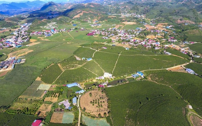 Espectacular vista de las colinas de té en Moc Chau desde un dron.