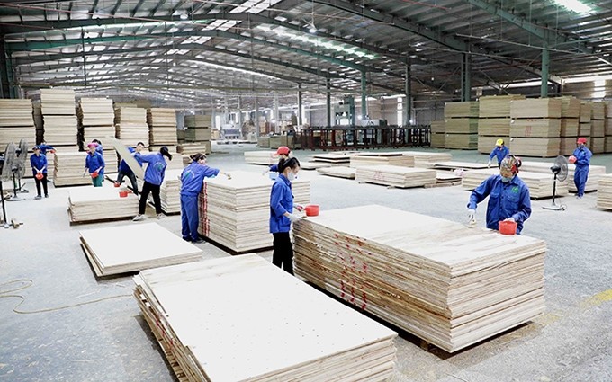 Un proceso de producción de madera contrachapada para exportación de la empresa Vina, en la zona industrial de Thanh Binh, distrito de CHo Moi, provincia de Bac Kan. (Fotografía: Van Sinh)