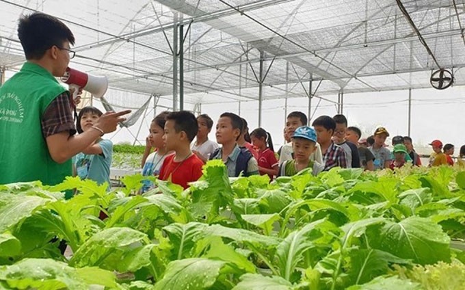Niños visitan la granja Hai Dang en el distrito de Thanh Tri (Fotografía: Kinhtedothi.vn)
