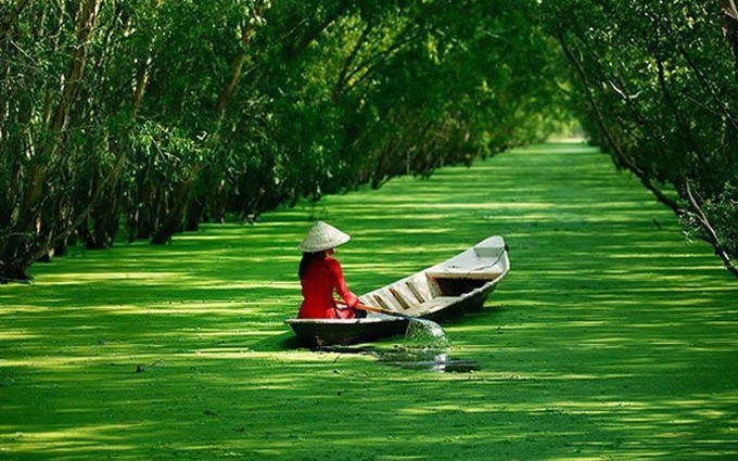 Turismo en el Delta del Mekong busca recuperarse en medio del Covid-19