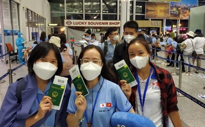 Auxiliares de enfermería y asistentes viajan a Japón. (Fotografía: VNA)