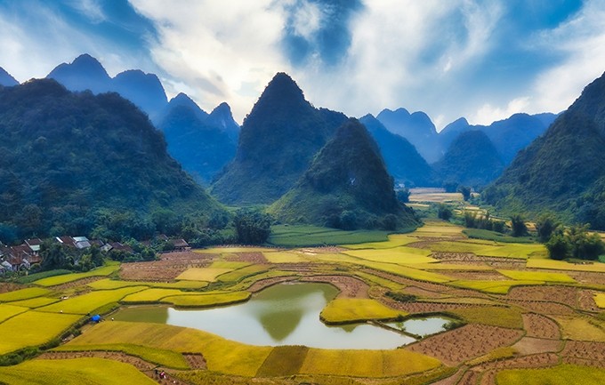 El valle de Phong Nam quizá se encuentra en su mejor momento en otoño, aproximadamente de agosto a octubre. En ese periodo se viste de radiante color dorado del arroz maduro, una maravilla para la vista. (Fotografía: hanoitv.vn)
