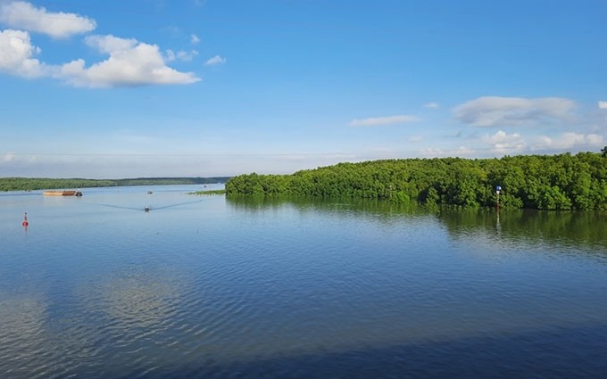 Un rincón de la Reserva de la Biosfera del Bosque de manglares de Can Gio.