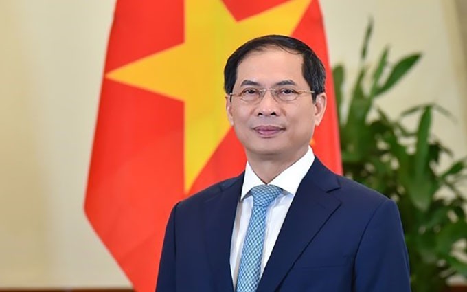 El ministro de Relaciones Exteriores de Vietnam, Bui Thanh Son. (Fotografía: baoquocte.vn)