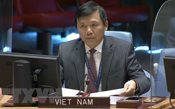 El embajador Dang Dinh Quy, jefe de la misión permanente de Vietnam ante las Naciones Unidas (ONU) (Fuente: VNA)