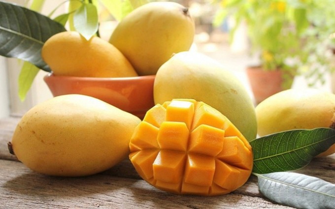 Aumentan importaciones de mango vietnamita de Corea del Sur