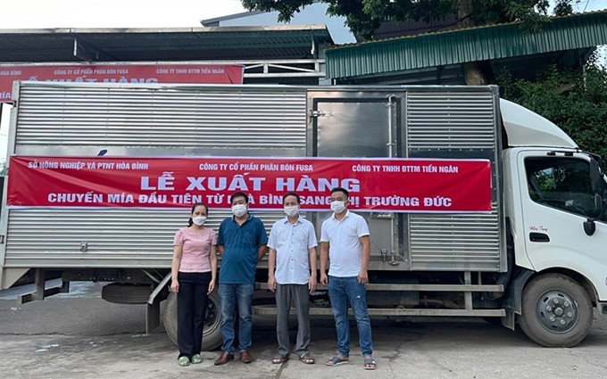 Representantes del sector agrícola de la provincia de Hoa Binh y empresas de importación y exportación en el acto para exportar el primer lote de caña de azúcar a Alemania.